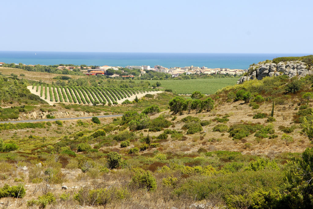 Aude, Narbonne, Carcassonne, Corbières-Minervois, Fleury, Saint Pierre, Grand Narbonne, Gruissan, La Domitienne, Leucate, Narbonne Plage, Port-la-Nouvelle, séjour tourisme, guide touristique, activités sportives, activités nautiques, plage, découvrir, restaurant, où manger, bien manger, que faire à, les grands buffets, location, camping, chez pierrot, cap leucate, compétitions, tournoi, loisir, restauration, événement, spectacle, monument, via domitia, histoire, la cité de Carcassonne, canal du midi, canal de la robine, La clape, pissevache, randonnée, port, espace balnéoludique, narbonne arena, L'Espace de Liberté, les Halles, Narbo via
