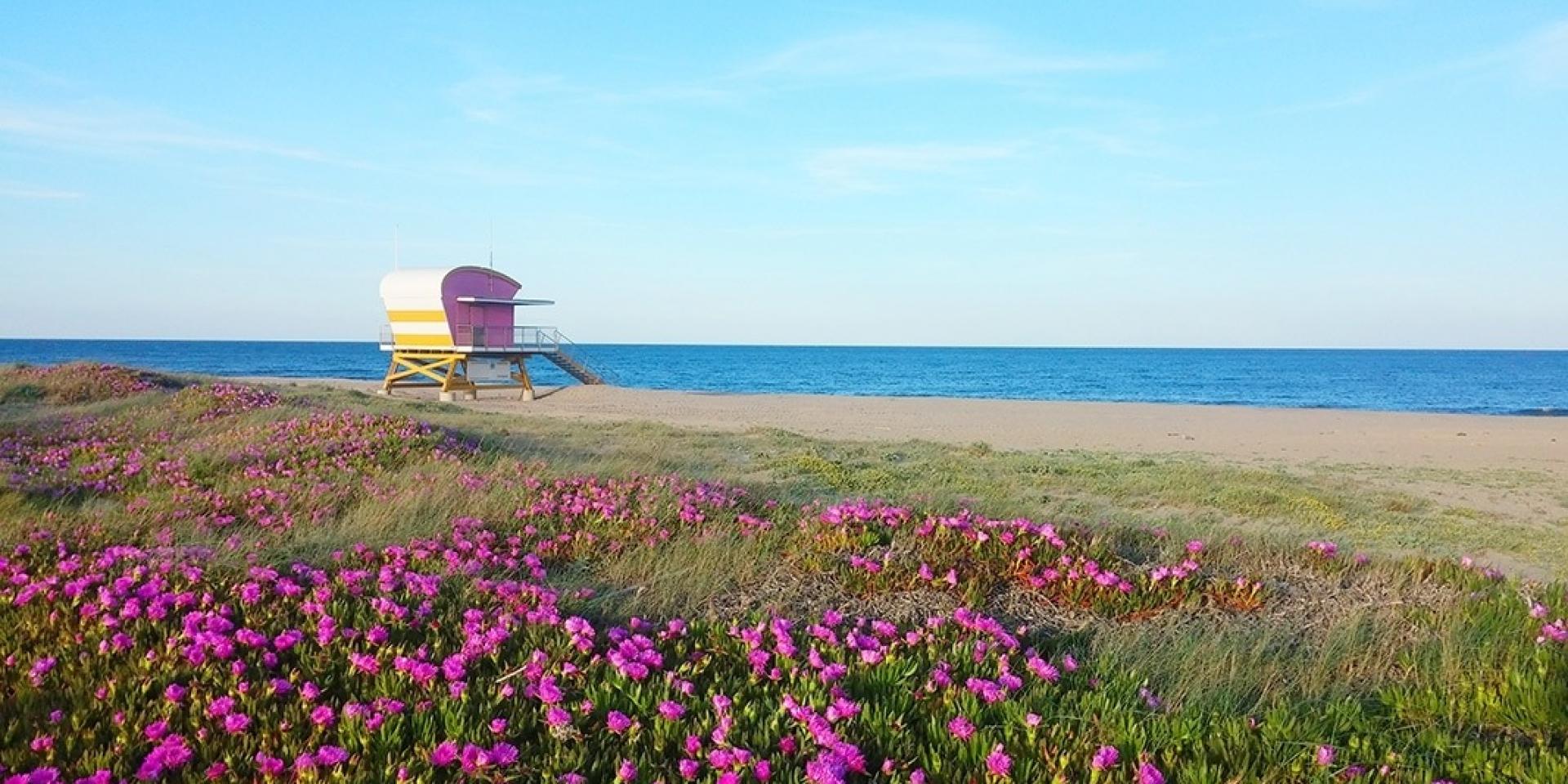 Aude, Narbonne, Carcassonne, Corbières-Minervois, Fleury, Saint Pierre, Grand Narbonne, Gruissan, La Domitienne, Leucate, Narbonne Plage, Port-la-Nouvelle vacances, séjour, tourisme, guide touristique, activités sportives, activités nautiques, plage, découvrir, restaurant, où manger, bien manger, que faire à, les grands buffets, location, camping, chez pierrot, cap leucate, compétitions, tournoi, loisir, restauration, événement, spectacle, monument, via domitia, histoire, la cité de Carcassonne, canal du midi, canal de la robine, La clape, pissevache, randonnée, port, espace balnéoludique, narbonne arena, L'Espace de Liberté, les Halles, Narbo via