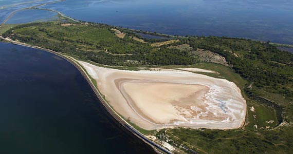 Aude, Narbonne, Carcassonne, Corbières-Minervois, Fleury, Saint Pierre, Grand Narbonne, Gruissan, La Domitienne, Leucate, Narbonne Plage, Port-la-Nouvelle séjour tourisme, guide touristique, activités sportives, activités nautiques, plage, découvrir, restaurant, où manger, bien manger, que faire à, les grands buffets, location, camping, chez pierrot, cap leucate, compétitions, tournoi, loisir, restauration, événement, spectacle, monument, via domitia, histoire, la cité de Carcassonne, canal du midi, canal de la robine, La clape, pissevache, randonnée, port, espace balnéoludique, narbonne arena, L'Espace de Liberté, les Halles, Narbo via